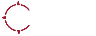 Asymmetric Solutions